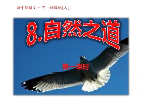 最新文档-四年级下册语文课件-8自然之道第一课时 人教新课标(共32张PPT)-PPT精品文档