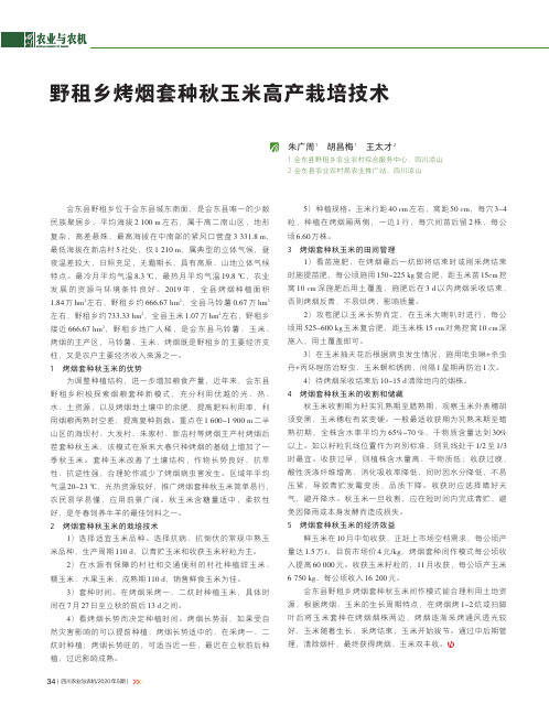 野租乡烤烟套种秋玉米高产栽培技术