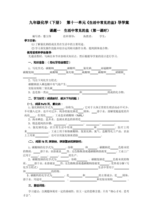 九年级化学 《生活中常见的盐》导学案