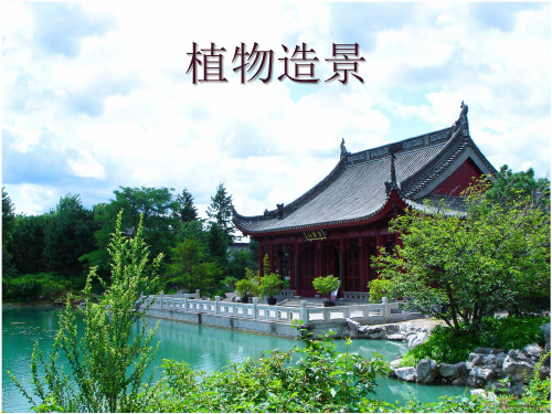 花镜设计加小区植物配置ppt课件