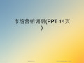 市场营销调研(PPT 14页)