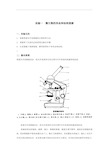 微生物的形态和结构观察