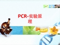 [课件]PCR-实验原理PPT