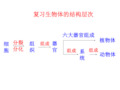 初中生物七年级《单细胞生物》优秀课件