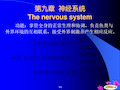 鱼类学1.9第九章--神经系统