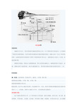 郑州地铁：线网规划详解