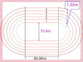 【人教版】-六年级数学上册确定起跑线