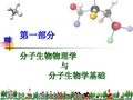 南开大学 分子生物物理-蛋白质的结构