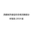 西藏城市建设综合情况数据分析报告2019版