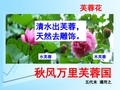 涉江采芙蓉 公开课 一等奖PPT