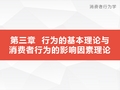 第三章 行为的基本理论与消费者行为的影响因素理论