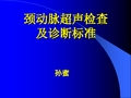 颈动脉超声检查及诊断标准.