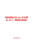 纺织服装行业2012年年报及2013一季报总结报告