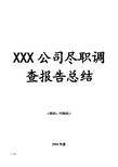 XXX公司尽职调查报告总结