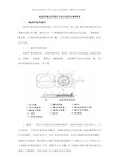 地质罗盘仪的使用方法及使用注意事项样本