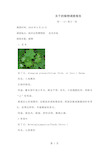 关于的植物调查报告共11页