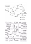 (完整版)高中生物20张思维导图