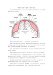 硬膜外血肿与硬膜下血肿鉴别