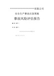 化工企业应急预案事故风险评估报告