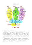 生物分类学(最新完整版)