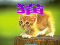 四年级语文上册《猫》PPT课件