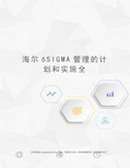 海尔6SIGMA管理的计划和实施全