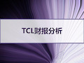 TCL财报分析 PPT