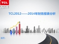 TCL财务报表分析