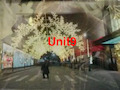 09-九年级英语Unit9全单元课件的