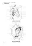 最新整理高中生物动植物细胞模式图及细胞结构的比较知识讲解