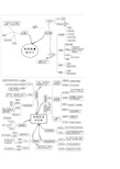 新课标高中生物全套思维导图