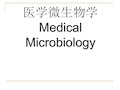 医学微生物概述最终版.ppt