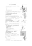 初中生物结构图集