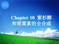 有机合成课件——Chapter紫杉醇和青蒿素的全合成分析34页PPT