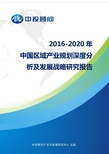 2016-2020年中国区域产业规划深度分析及发展战略研究报告