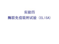 酶联免疫吸附试验ELISA.ppt