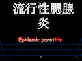 流行性腮腺炎-1完整ppt课件