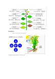 史上最全肥料知识