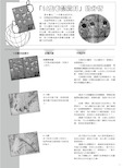 14只老鼠赏月