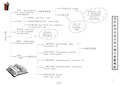 用所给词的适当形式填空做题策略与技巧 ppt