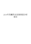 2019年西藏药业发展深度分析报告