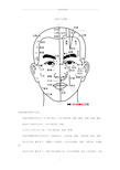 面部穴位图解精编版