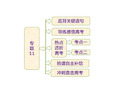 专题11生物进化