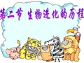 生物进化的历程课件(共22张PPT)