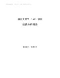 液化天然气(LNG)项目投资分析报告