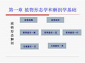 观赏植物学课件-1 植物形态学和解剖学基础107页PPT