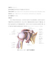 手术_3.6.2.1.1 陈旧性肩关节前脱位切开复位术