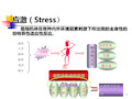 应激PPT课件