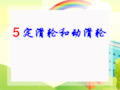 小学科学六年级上册《定滑轮和动滑轮》PPT课件