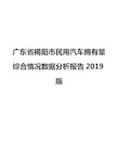 广东省揭阳市民用汽车拥有量综合情况数据分析报告2019版